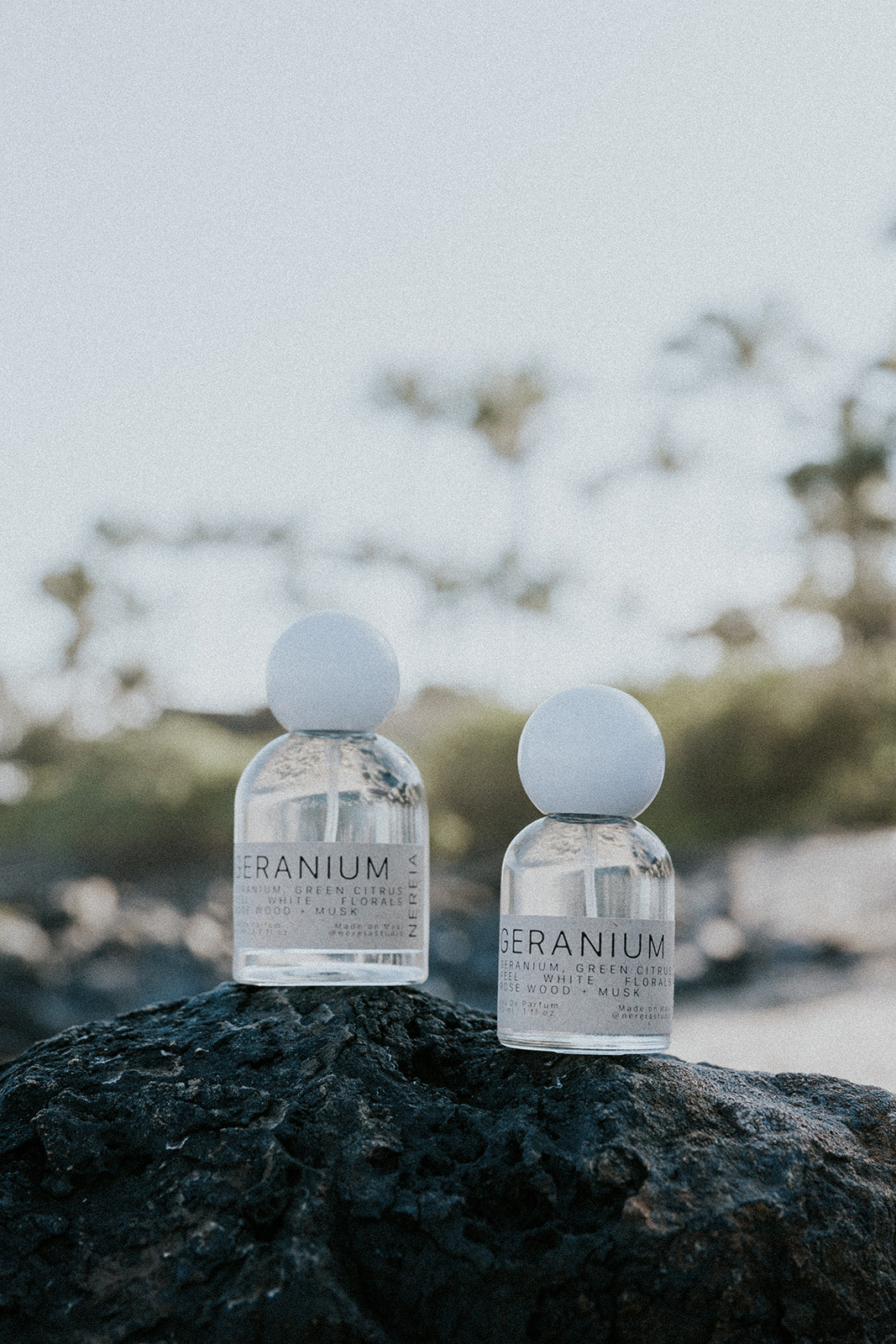 Our Signature - 50 ml Eau De Parfum