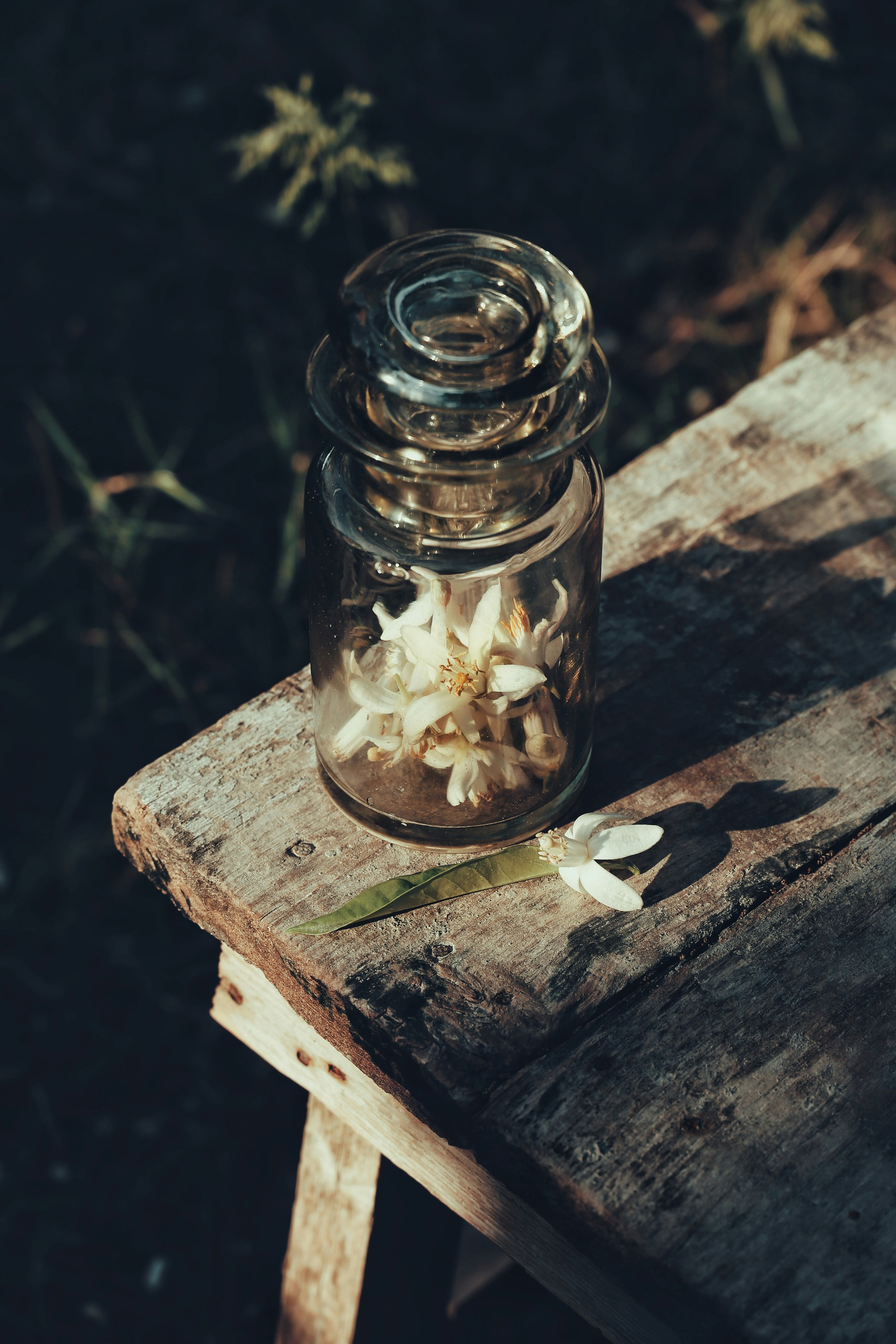 Neroli Signature Candle