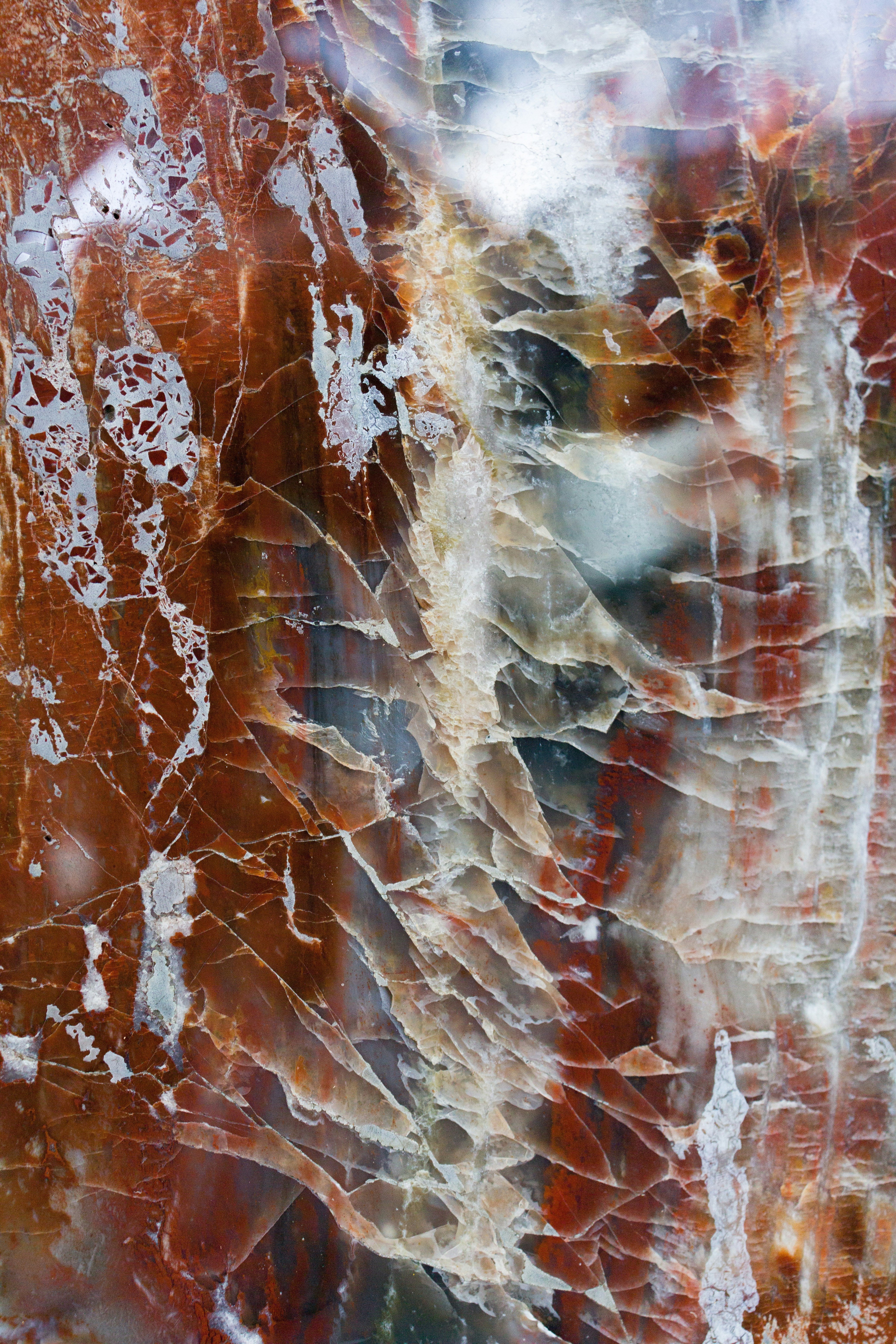 Amber | Musky